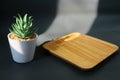 Empty Wooden plate on dark grey background with light and a small plant pot. forty-five degrees view Royalty Free Stock Photo