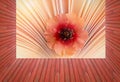 Empty red wooden deck table with beautiful little flower in a book background. Ready for product display montage. Aroma of story