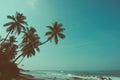 Empty remote tropical beach with exotic coconut palm trees vintage color toned Royalty Free Stock Photo