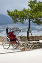 empty rickshaw parked beneath tree in a park