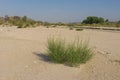 Empty Riverbed of Santa Clarita Royalty Free Stock Photo