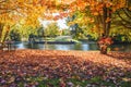 Deserted riverside park on a sunny autumn day. Stunning fall foliage. Royalty Free Stock Photo