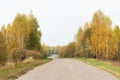 Empty road in autumn countryside with yellow birchtrees Royalty Free Stock Photo