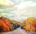 Empty road in autumn forest against blue sky Royalty Free Stock Photo
