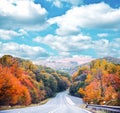 Empty road in autumn forest against blue sky Royalty Free Stock Photo