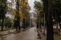 Empty road in autumn on a rainy day Royalty Free Stock Photo