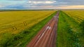 An empty road from a bird\'s eye view Royalty Free Stock Photo