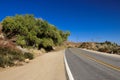 Empty road in California desert city