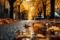 Empty road in city in autumn