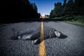 Empty Road With Dead Bodys Ghost in the Middle Royalty Free Stock Photo