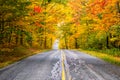 Colourful autumn trees along a road Royalty Free Stock Photo