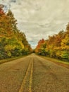 Empty road in the fall with bright autumn foliage