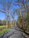 Empty road through the forest around Vorden Royalty Free Stock Photo