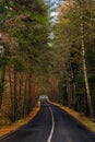 Empty wet road through the forest in autumn rainy day Royalty Free Stock Photo