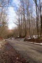 Empty road in the forest in a beautiful day, landscape Royalty Free Stock Photo