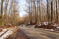 Empty road in the forest in a beautiful day, landscape Royalty Free Stock Photo