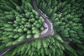 Empty Road In A Forest From A Drone