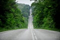 Empty road through the forest Royalty Free Stock Photo