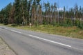 Empty road, forest and sky. Royalty Free Stock Photo