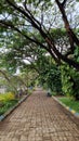 Empty Road in Front of the Garden Royalty Free Stock Photo