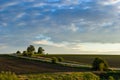 an empty road going forward between a green and plowed field with trees on the side in spring. Sunset Royalty Free Stock Photo