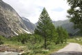 An empty road on Italian Alps Royalty Free Stock Photo