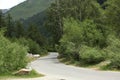 An empty road on Italian Alps Royalty Free Stock Photo