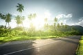 Empty road in jungle of Seychelles Royalty Free Stock Photo