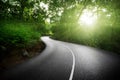 Empty road in jungle