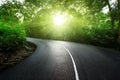 Empty road in jungle Royalty Free Stock Photo