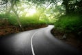 Empty road in jungle of Seychelles Royalty Free Stock Photo