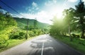 Empty road in jungle Royalty Free Stock Photo