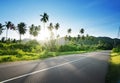 Empty road in jungle Royalty Free Stock Photo
