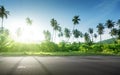 Empty road in jungle Royalty Free Stock Photo