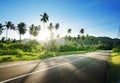 Empty road in jungle Royalty Free Stock Photo