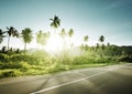 Empty road in jungle Royalty Free Stock Photo