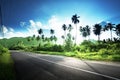Empty road in jungle of Seychelles Royalty Free Stock Photo
