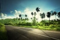 Empty road in jungle Royalty Free Stock Photo