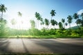 Empty road in jungle of Seychelles islands Royalty Free Stock Photo