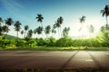 Empty road in jungle of Seychelles islands Royalty Free Stock Photo