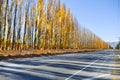 Empty road leading through scenic countryside, New Zealand Royalty Free Stock Photo