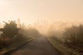 Empty road in misty autumn morning Royalty Free Stock Photo