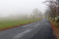 Empty road in misty day Royalty Free Stock Photo