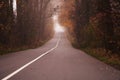 Empty road in the morning passing through a forest covered in mist or fog Royalty Free Stock Photo