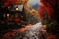 Empty road near houses in town at night in autumn