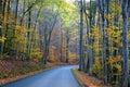 An empty road overlooking the striking colors of fall foliage near Colton Point State Park, Wellsboro, Pennsylvania, U.S Royalty Free Stock Photo