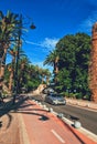 Empty road and palm trees in town Royalty Free Stock Photo