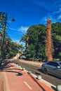 Empty road and palm trees in town Royalty Free Stock Photo