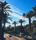 Empty road and palm trees in town Royalty Free Stock Photo