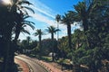 Empty road and palm trees in town Royalty Free Stock Photo